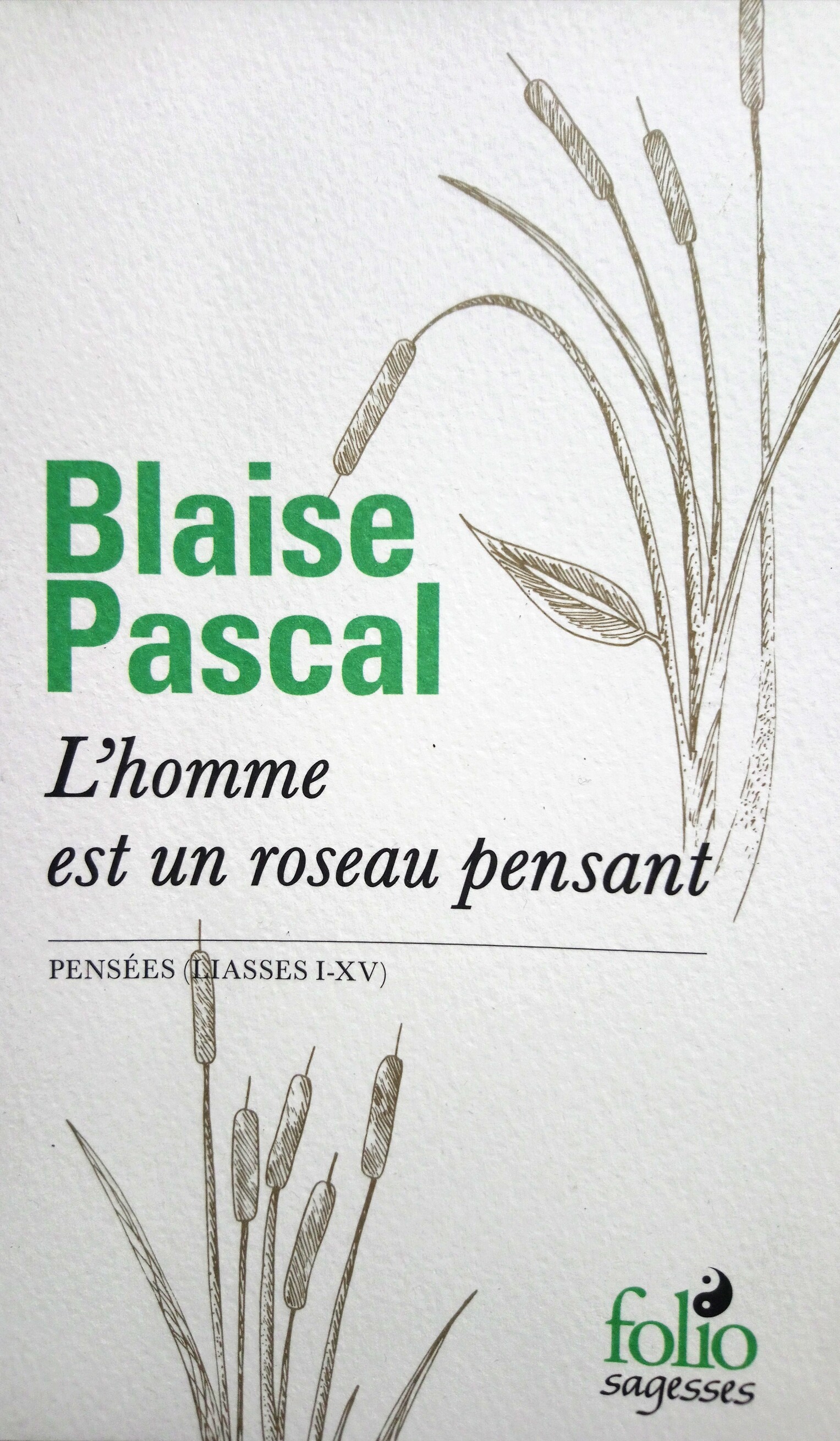 Blaise Pascal: El hombre es una caña pensante