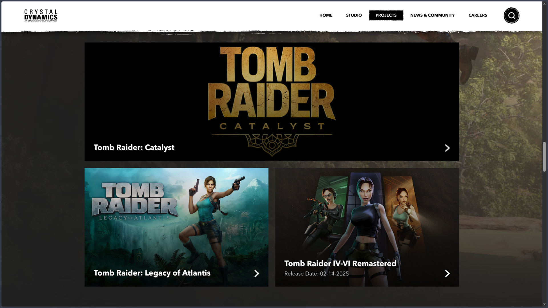 Crystal Dynamics