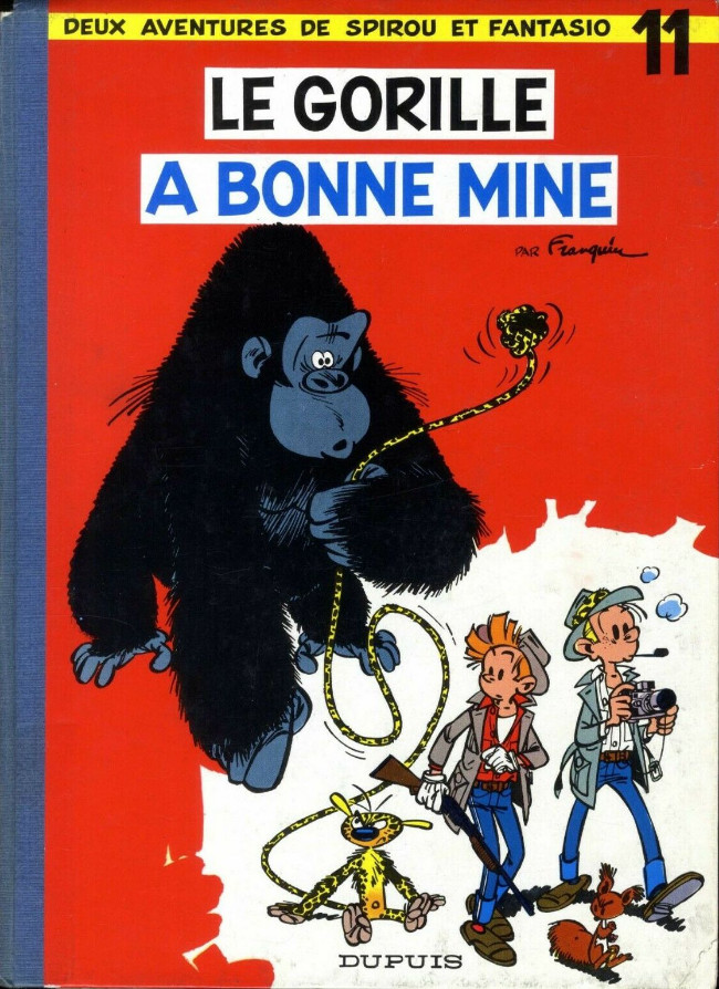Le gorille a bonne mine
