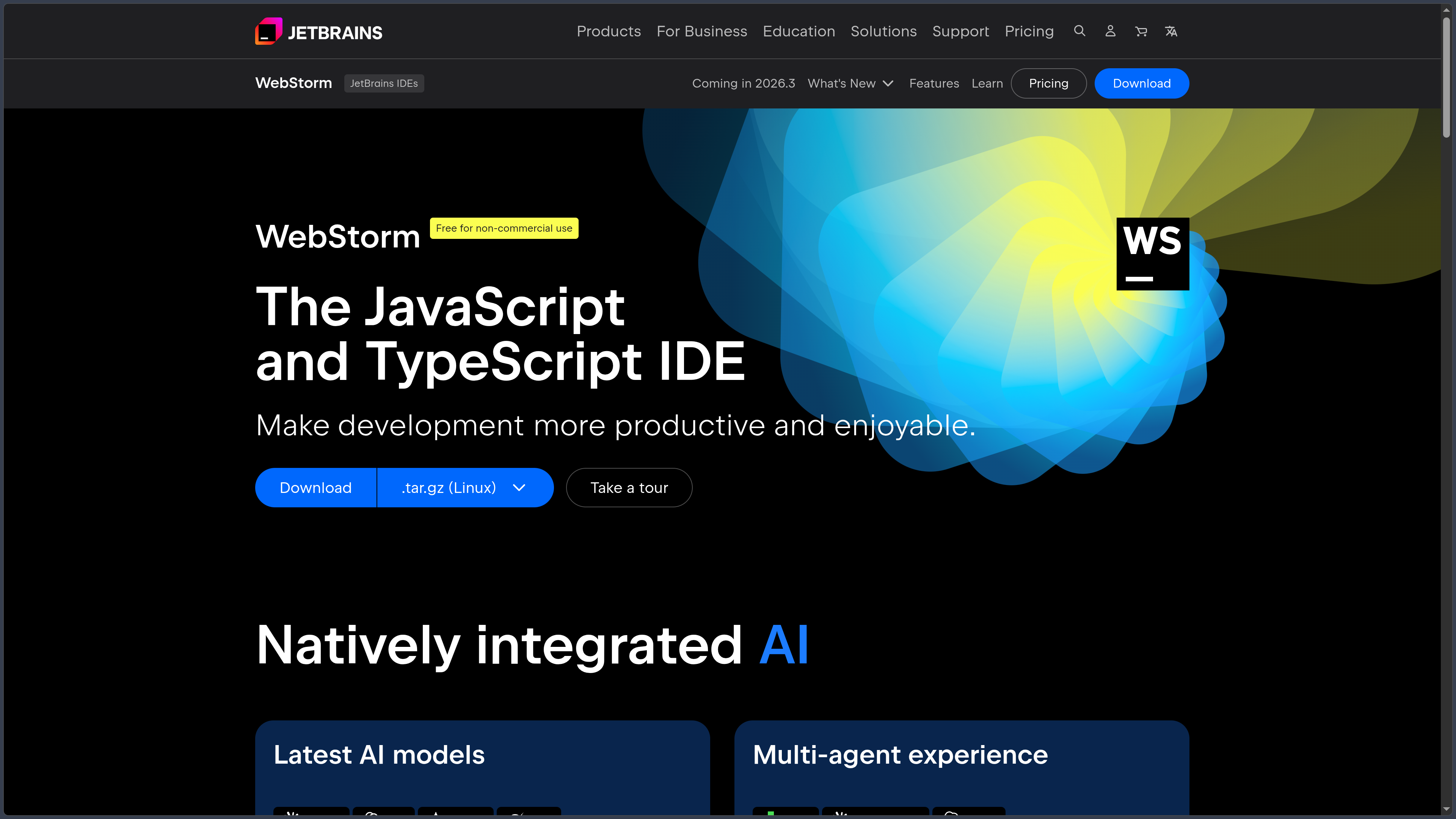 WebStorm screenshot
