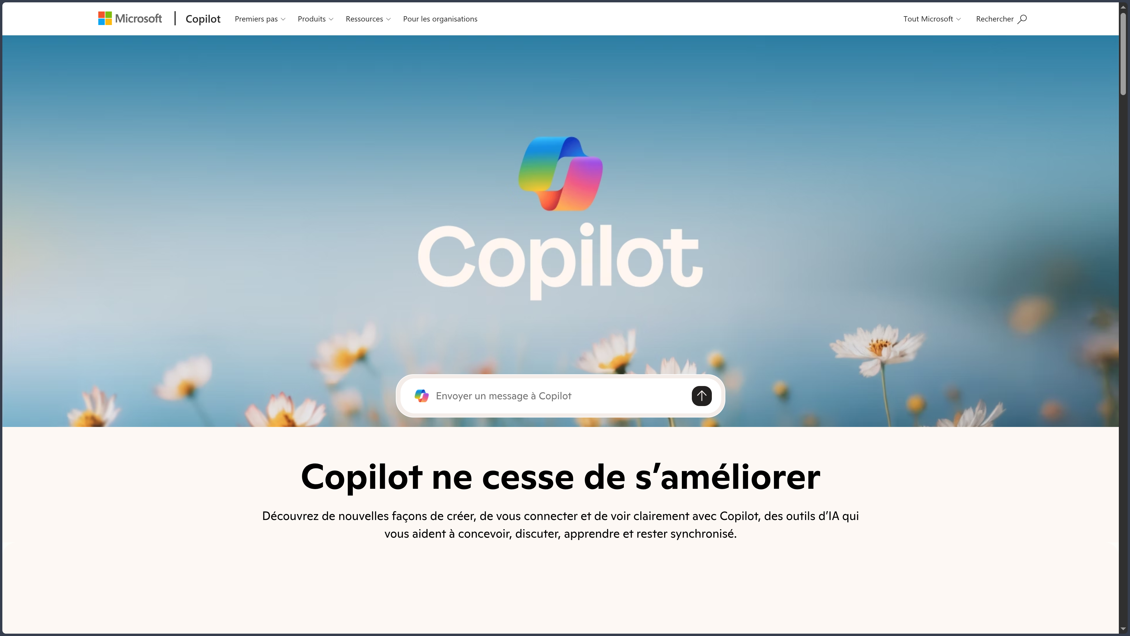 Microsoft Copilot screenshot