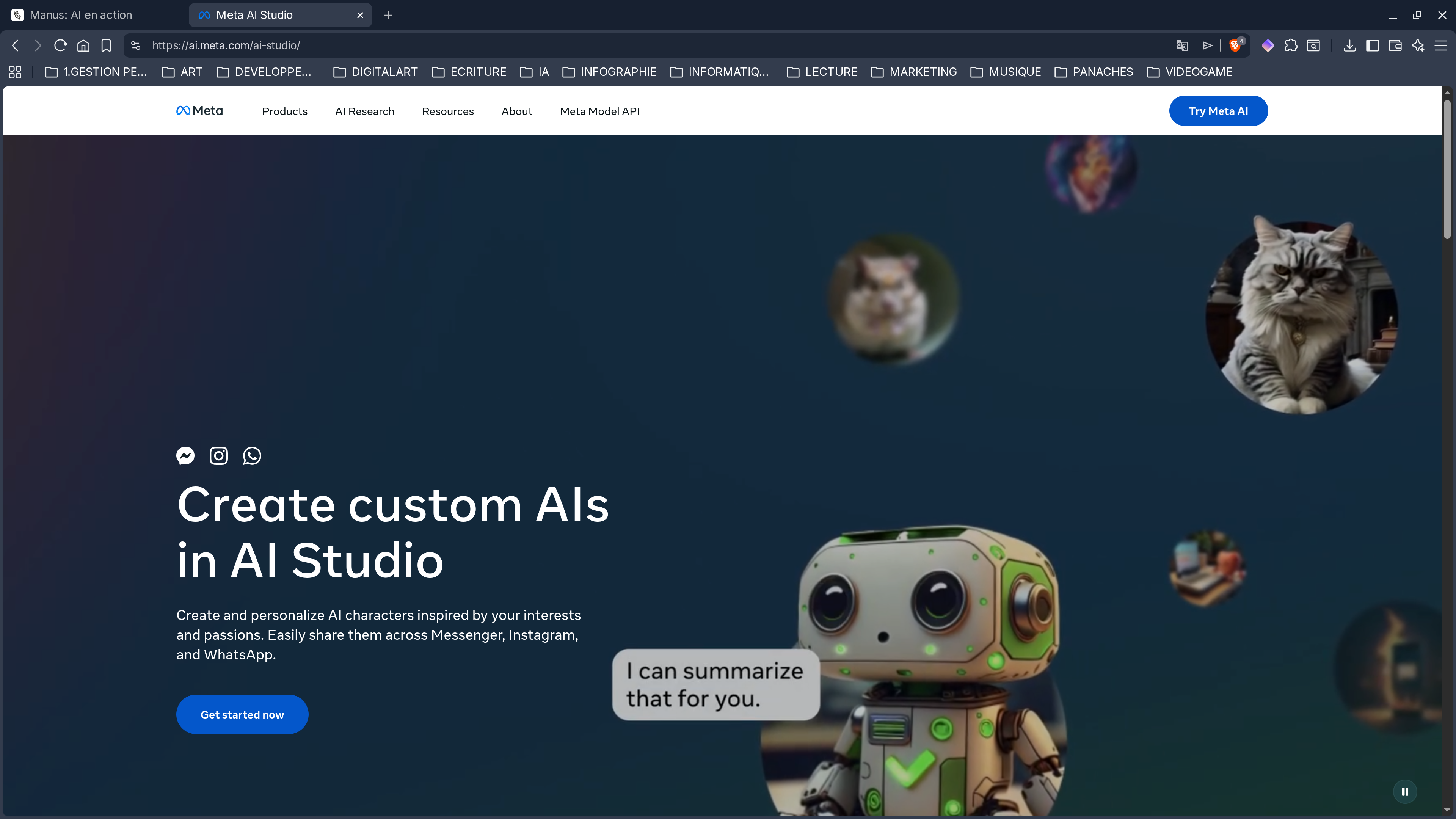 Meta AI screenshot