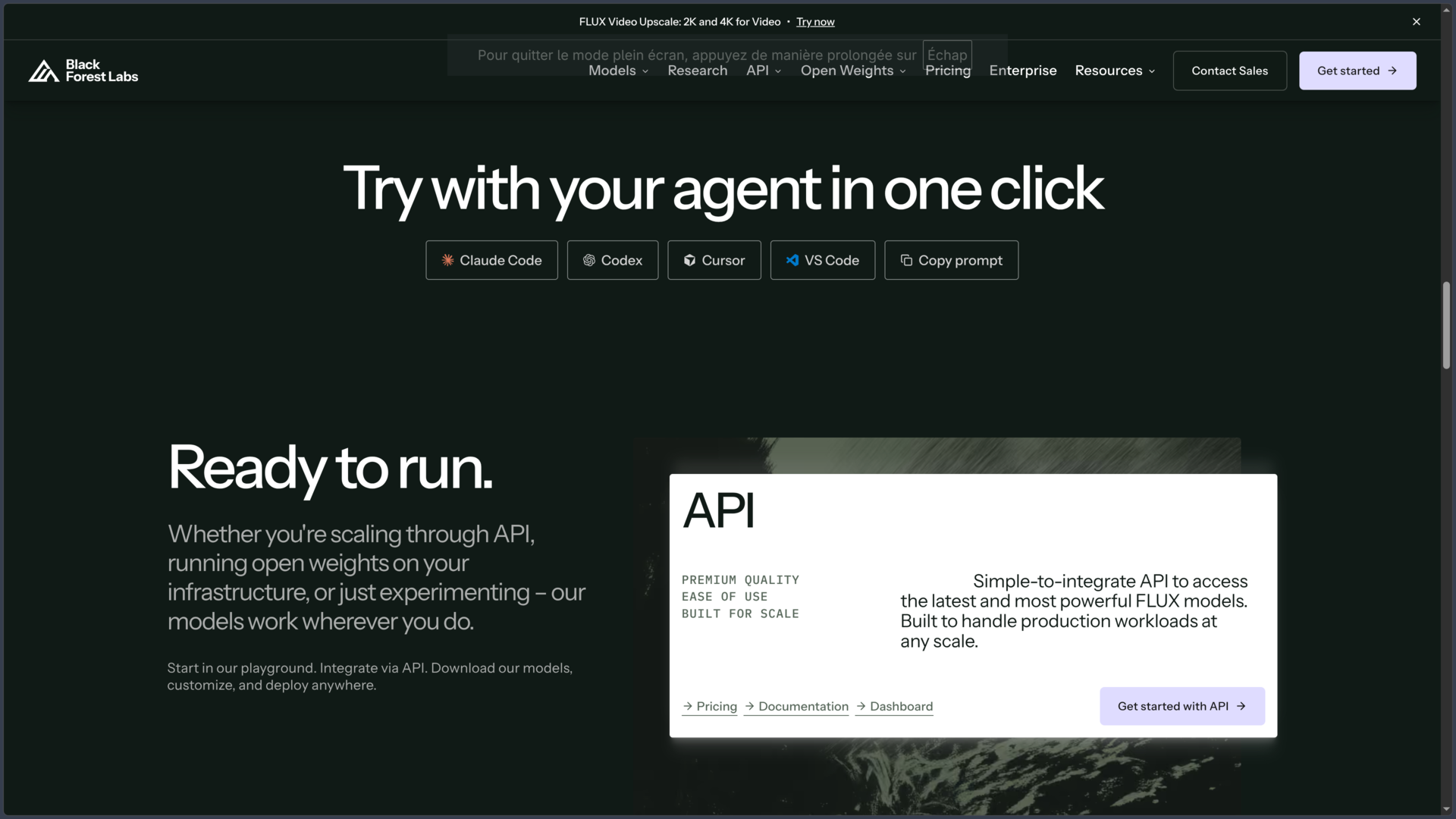 FLUX screenshot