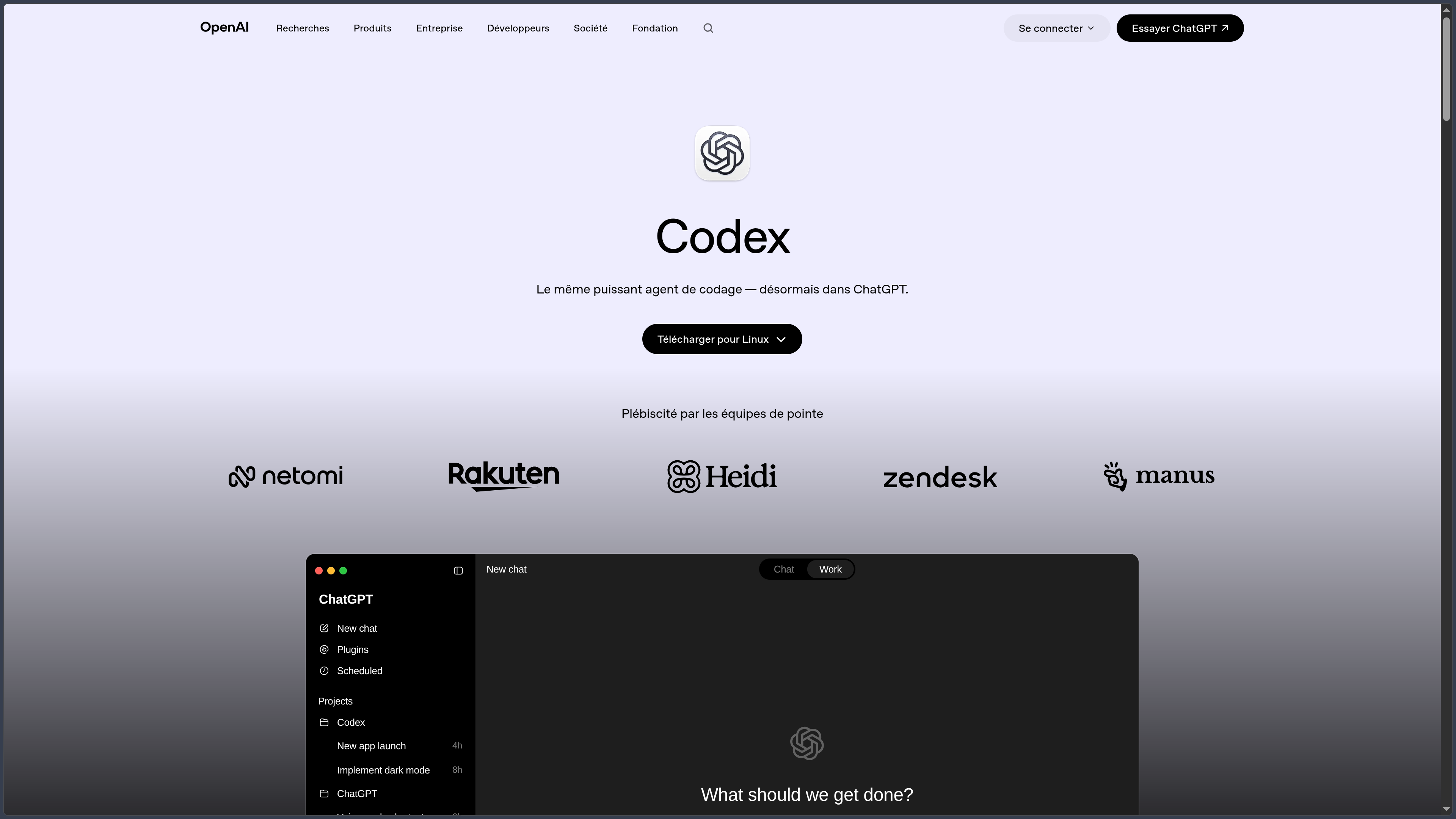 Codex screenshot