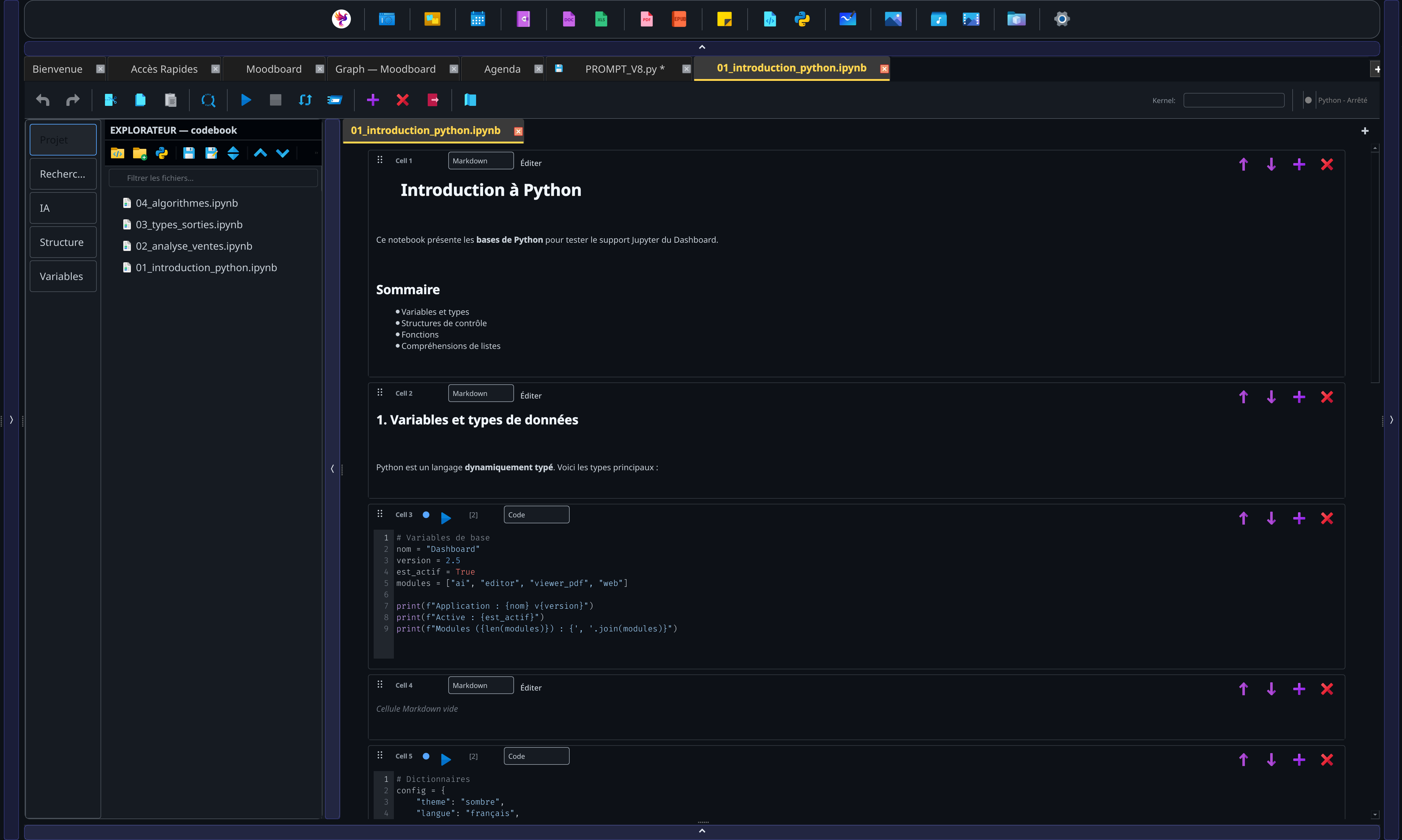 Captura del módulo Codebook de PANACHES con celdas Python, Markdown, salidas, variables y panel lateral.
