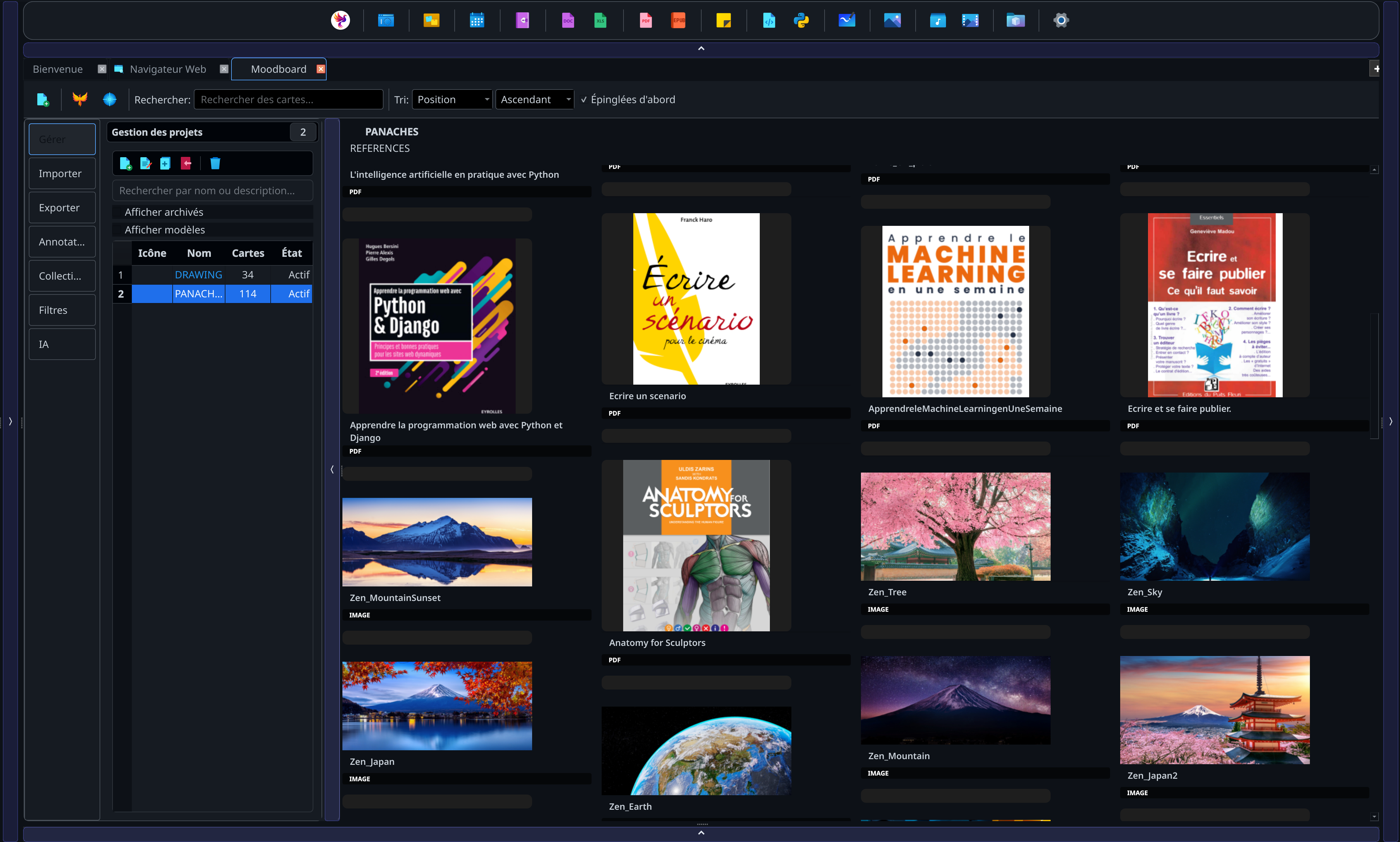 Screenshot of the PANACHES moodboard with visual cards, collections and project references.
