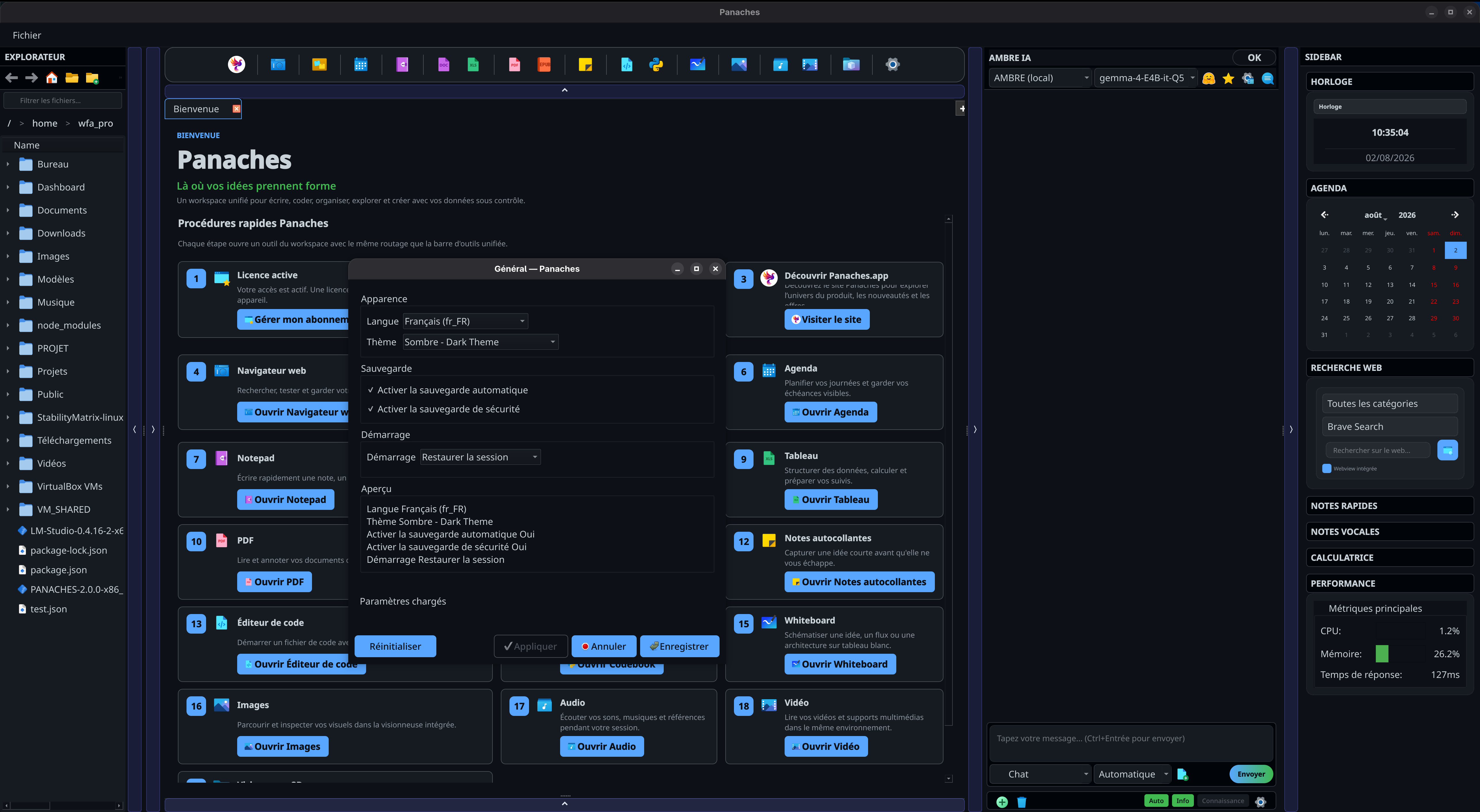 Capture des paramètres PANACHES avec langue, thème et préférences d’interface.