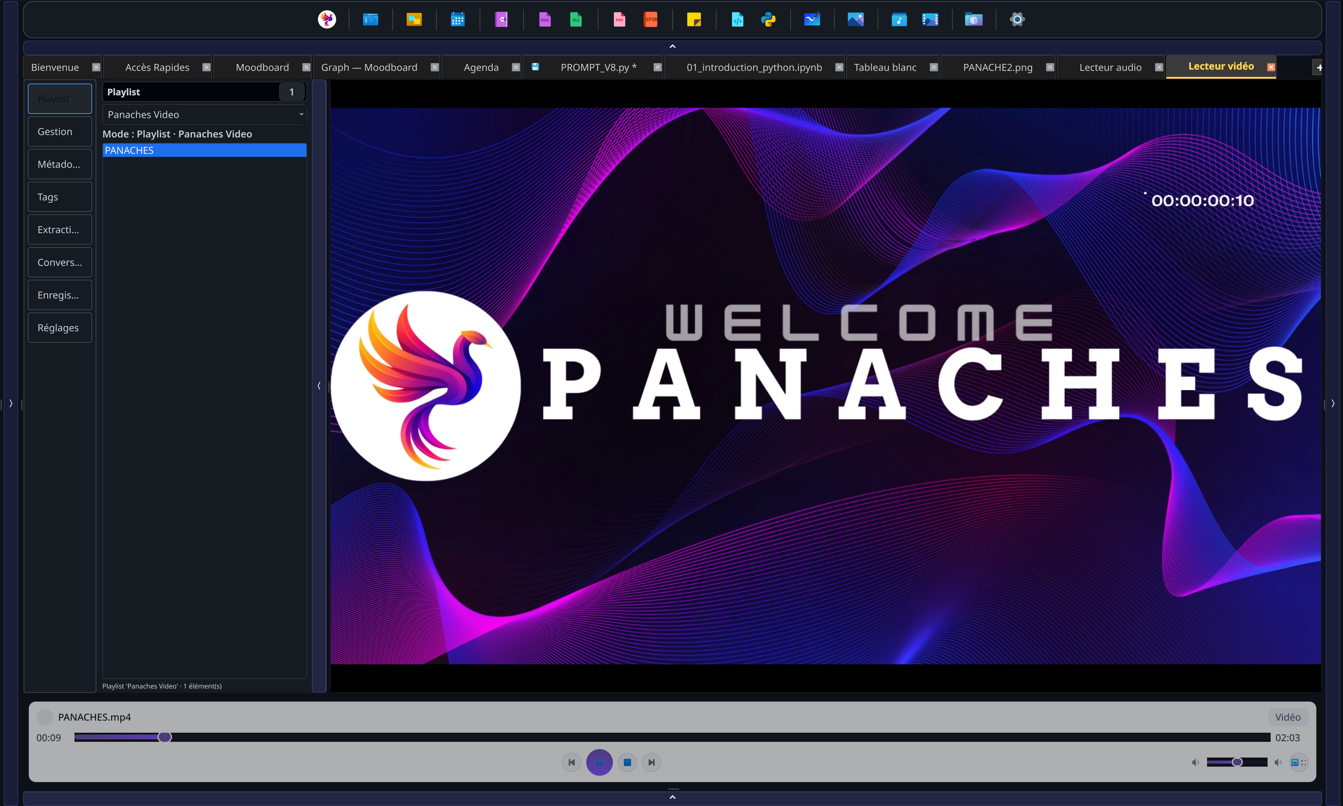 Captura del módulo Vídeo de PANACHES con reproductor, timeline, controles y panel de biblioteca.