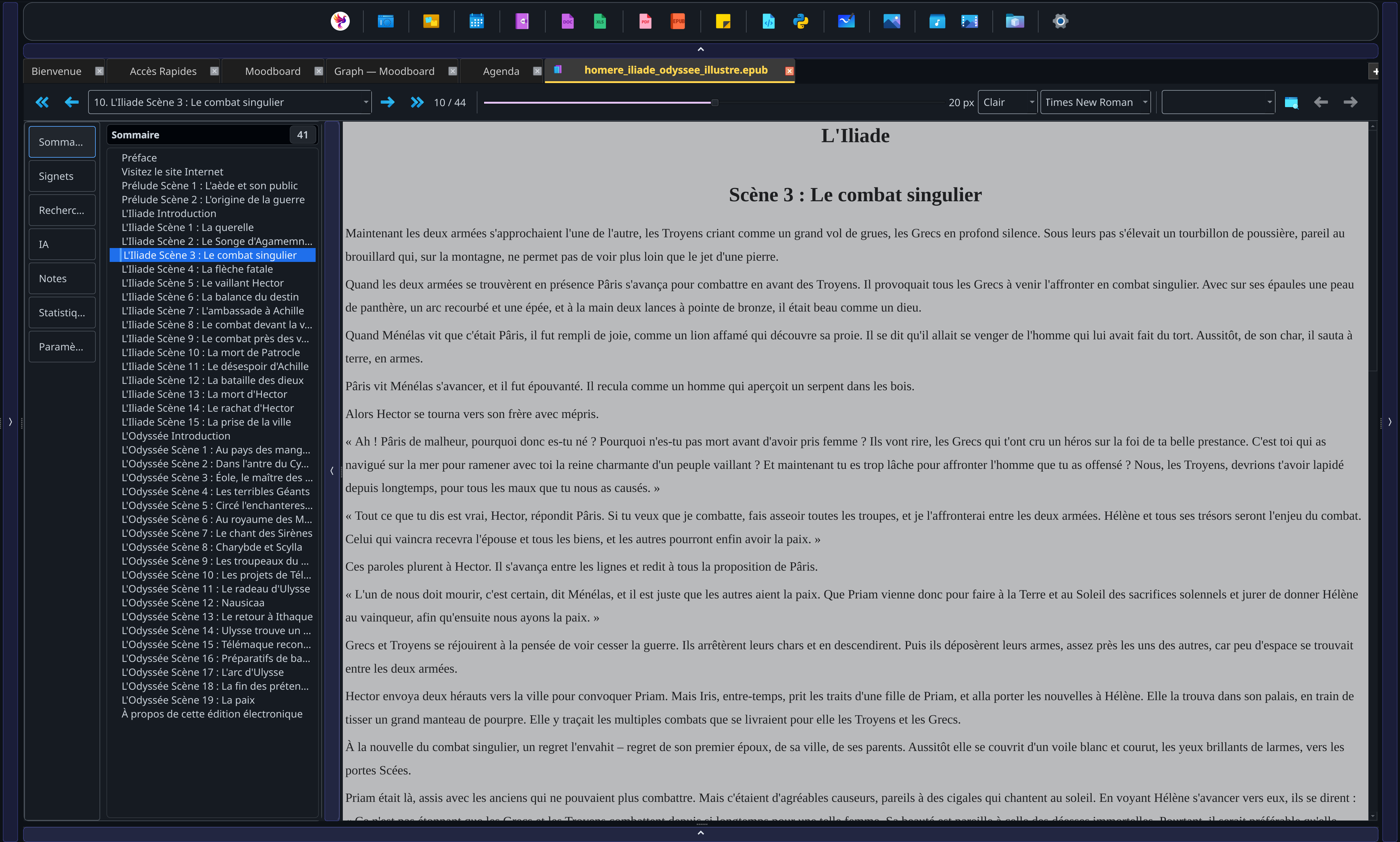 Captura del lector EPUB de PANACHES con tabla de contenidos, texto, anotaciones y panel de lectura.