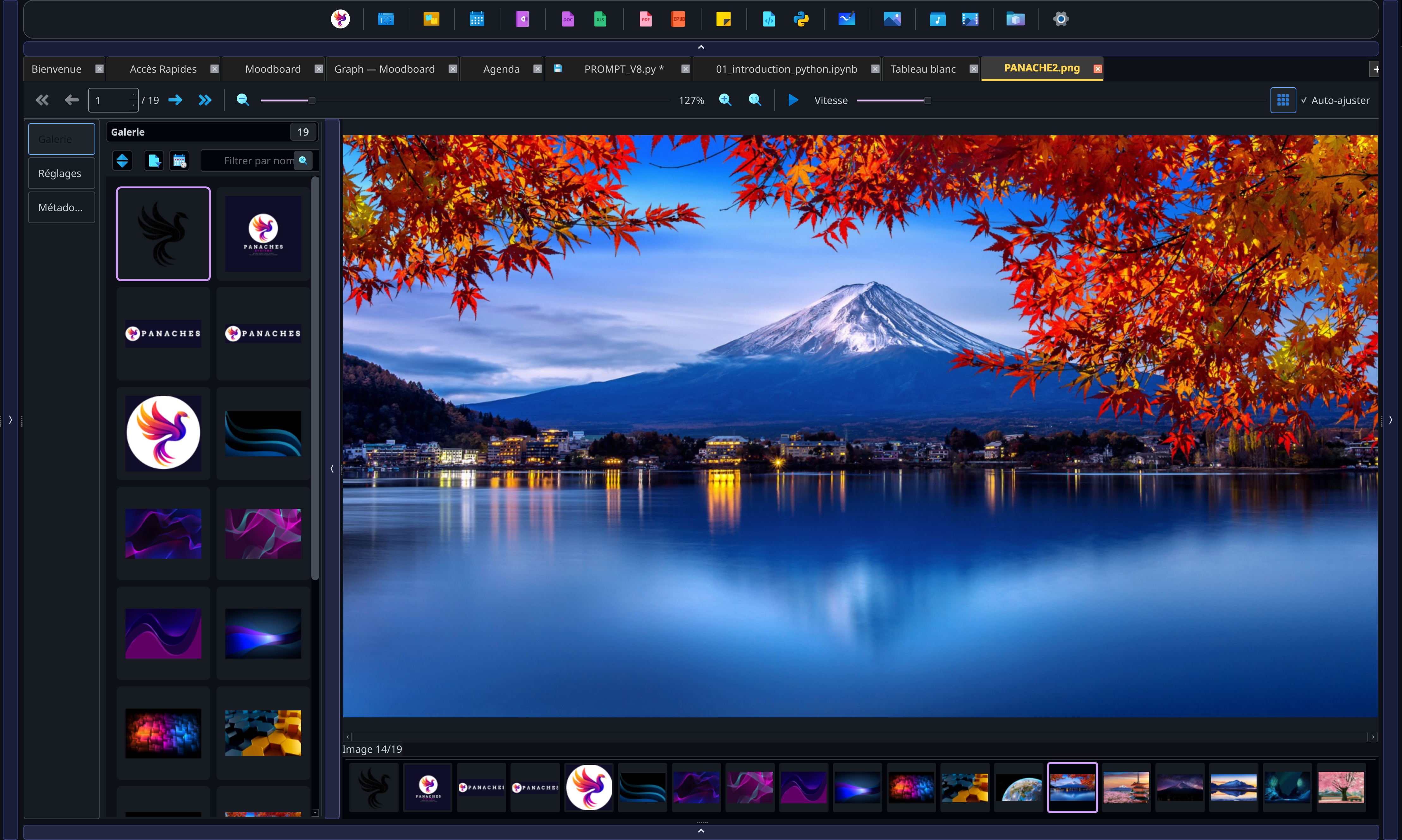 Screenshot of the PANACHES Images module with gallery, thumbnails, metadata and adjustment tools.